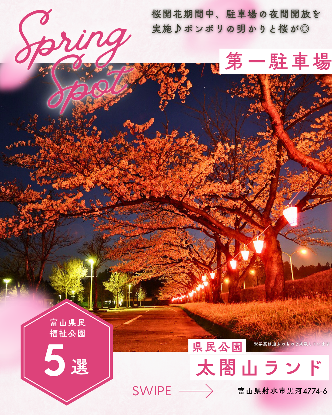 さくらおすすめスポット【富山県民福祉公園5選】 - 公益財団法人富山